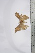  ( - BC-TB4356)  @12 [ ] Copyright (2010) Unspecified Research Collection of Thierry Bouyer