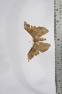  ( - BC-TB4372)  @12 [ ] Copyright (2010) Unspecified Research Collection of Thierry Bouyer