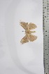  ( - BC-TB4402)  @12 [ ] Copyright (2010) Unspecified Research Collection of Thierry Bouyer