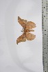  ( - BC-TB4403)  @12 [ ] Copyright (2010) Unspecified Research Collection of Thierry Bouyer