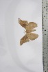  ( - BC-TB4405)  @13 [ ] Copyright (2010) Unspecified Research Collection of Thierry Bouyer