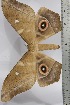  ( - BC-TB4411)  @12 [ ] Copyright (2010) Unspecified Research Collection of Thierry Bouyer