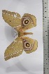  ( - BC-TB4436)  @12 [ ] Copyright (2010) Unspecified Research Collection of Thierry Bouyer