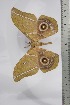  ( - BC-TB4437)  @12 [ ] Copyright (2010) Unspecified Research Collection of Thierry Bouyer