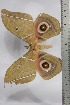  ( - BC-TB4439)  @12 [ ] Copyright (2010) Unspecified Research Collection of Thierry Bouyer