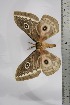  ( - BC-TB4451)  @13 [ ] Copyright (2010) Unspecified Research Collection of Thierry Bouyer