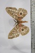  ( - BC-TB4453)  @12 [ ] Copyright (2010) Unspecified Research Collection of Thierry Bouyer