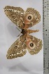  ( - BC-TB4454)  @12 [ ] Copyright (2010) Unspecified Research Collection of Thierry Bouyer