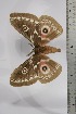  ( - BC-TB4456)  @12 [ ] Copyright (2010) Unspecified Research Collection of Thierry Bouyer
