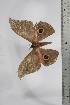  ( - BC-TB4460)  @12 [ ] Copyright (2010) Unspecified Research Collection of Thierry Bouyer