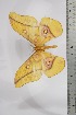  ( - BC-TB4467)  @12 [ ] Copyright (2010) Unspecified Research Collection of Thierry Bouyer