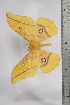  ( - BC-TB4469)  @12 [ ] Copyright (2010) Unspecified Research Collection of Thierry Bouyer