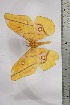  ( - BC-TB4470)  @12 [ ] Copyright (2010) Unspecified Research Collection of Thierry Bouyer