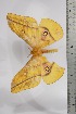  ( - BC-TB4472)  @12 [ ] Copyright (2010) Unspecified Research Collection of Thierry Bouyer