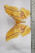  ( - BC-TB4473)  @12 [ ] Copyright (2010) Unspecified Research Collection of Thierry Bouyer