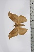  ( - BC-TB4590)  @12 [ ] Copyright (2010) Unspecified Research Collection of Thierry Bouyer