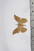  ( - BC-TB4597)  @12 [ ] Copyright (2010) Unspecified Research Collection of Thierry Bouyer