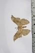  ( - BC-TB4634)  @12 [ ] Copyright (2010) Unspecified Research Collection of Thierry Bouyer