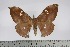  ( - BC-TB4649)  @13 [ ] Copyright (2010) Unspecified Research Collection of Thierry Bouyer