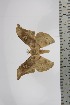  ( - BC-TB4665)  @12 [ ] Copyright (2010) Unspecified Research Collection of Thierry Bouyer