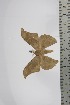  ( - BC-TB4666)  @12 [ ] Copyright (2010) Unspecified Research Collection of Thierry Bouyer