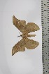  ( - BC-TB4667)  @12 [ ] Copyright (2010) Unspecified Research Collection of Thierry Bouyer