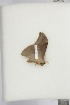 ( - BC-TB4682)  @12 [ ] Copyright (2010) Unspecified Research Collection of Thierry Bouyer