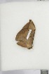  ( - BC-TB4695)  @12 [ ] Copyright (2010) Unspecified Research Collection of Thierry Bouyer