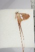  ( - BC-TB4733)  @12 [ ] Copyright (2010) Unspecified Research Collection of Thierry Bouyer