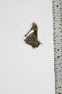  ( - BC-TB4735)  @12 [ ] Copyright (2010) Unspecified Research Collection of Thierry Bouyer