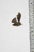  ( - BC-TB4737)  @12 [ ] Copyright (2010) Unspecified Research Collection of Thierry Bouyer