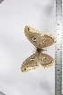  ( - BC-TB4766)  @12 [ ] Copyright (2010) Unspecified Research Collection of Thierry Bouyer