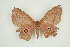  ( - BC-TB9465)  @13 [ ] Copyright (2012) Thierry Bouyer Research Collection of Thierry Bouyer