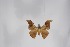  ( - BC-TB5290)  @13 [ ] Copyright (2010) Unspecified Research Collection of Thierry Bouyer