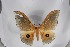  ( - BC-TB5306)  @12 [ ] Copyright (2010) Unspecified Research Collection of Thierry Bouyer