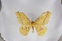  ( - BC-TB5332)  @14 [ ] Copyright (2010) Unspecified Research Collection of Thierry Bouyer