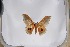  ( - BC-TB5370)  @13 [ ] Copyright (2010) Unspecified Research Collection of Thierry Bouyer