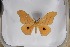  ( - BC-TB5381)  @13 [ ] Copyright (2010) Unspecified Research Collection of Thierry Bouyer
