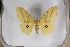  ( - BC-TB5382)  @13 [ ] Copyright (2010) Unspecified Research Collection of Thierry Bouyer