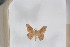  ( - BC-TB5458)  @13 [ ] Copyright (2010) Unspecified Research Collection of Thierry Bouyer
