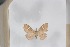  ( - BC-TB5459)  @12 [ ] Copyright (2010) Unspecified Research Collection of Thierry Bouyer
