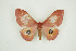  ( - BC-TB9477)  @13 [ ] Copyright (2012) Thierry Bouyer Research Collection of Thierry Bouyer
