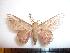  ( - BC-Dec0458)  @14 [ ] Copyright (2010) Unspecified Research Collection of Thibaud Decaens