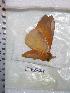  ( - BC-Dec0338)  @13 [ ] Copyright (2010) Unspecified Research Collection of Thibaud Decaens