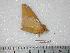  ( - BC-Dec0340)  @13 [ ] Copyright (2010) Unspecified Research Collection of Thibaud Decaens