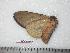  ( - BC-Dec0367)  @12 [ ] Copyright (2010) Unspecified Research Collection of Thibaud Decaens
