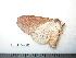  ( - BC-Dec0407)  @12 [ ] Copyright (2010) Unspecified Research Collection of Thibaud Decaens