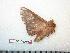  ( - BC-Dec0458)  @13 [ ] Copyright (2010) Unspecified Research Collection of Thibaud Decaens