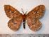  ( - BC-Dec0507)  @14 [ ] Copyright (2010) Unspecified Research Collection of Thibaud Decaens