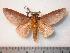  ( - BC-Dec0520)  @13 [ ] Copyright (2010) Unspecified Research Collection of Thibaud Decaens
